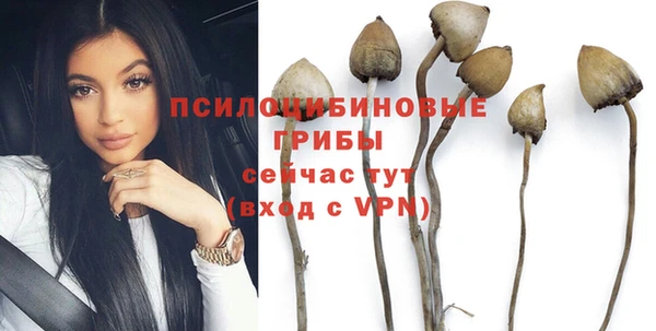 бутират Лиски