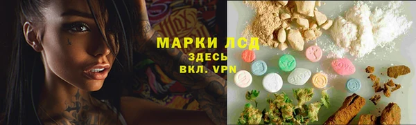ПСИЛОЦИБИНОВЫЕ ГРИБЫ Липки
