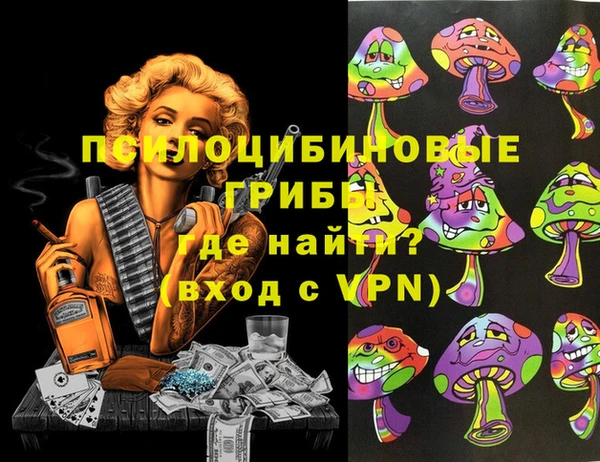 соль ск Магас