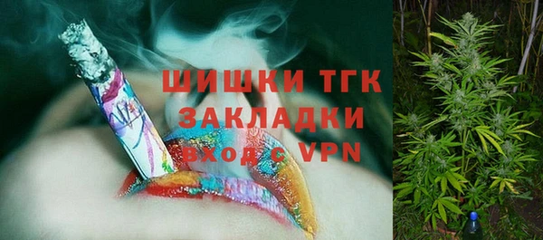 ПСИЛОЦИБИНОВЫЕ ГРИБЫ Липки