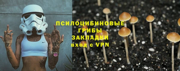 ПСИЛОЦИБИНОВЫЕ ГРИБЫ Липки