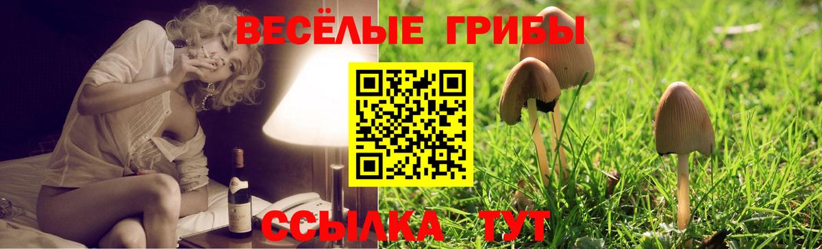 Узловая  Псилоцибиновые грибы ЛСД  Вход с VPN  Галлюциногенные грибы мицелий 